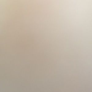 Meet your Posher, Selena